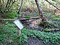 Information board in the Prehistoric Forest.