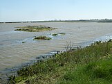 Hazlewood Marshes