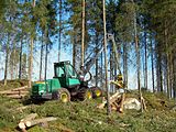 Mechanical harvester at work