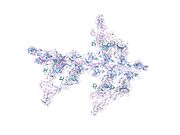 1o19: MOLECULAR MODELS OF AVERAGED RIGOR CROSSBRIDGES FROM TOMOGRAMS OF INSECT FLIGHT MUSCLE