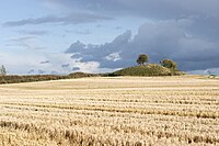 Tumulus, at Borum near Aarhus. [6] Author: Villy Fink Isaksen