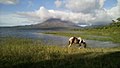 Lag Arenal (Lago Arenal)