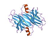 1u21: transthyretin with tethered inhibitor on one monomer.