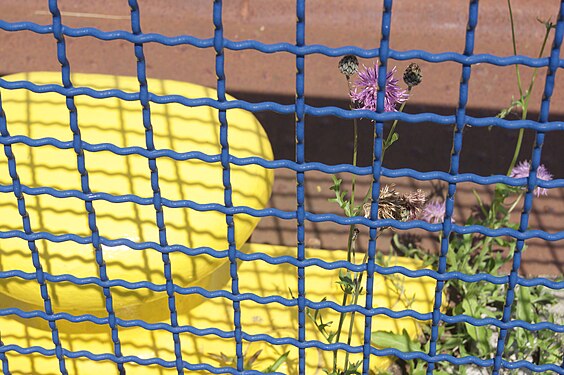 Yellow bollards behind a blue fence