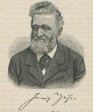 Heinrich Zeise -  Bild