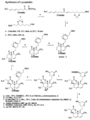 Complete lovastatin synthesis