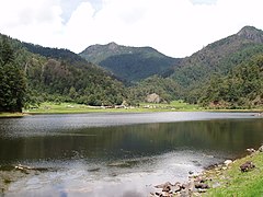 Bosque templado, Zempoala, Morelos