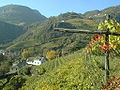 Bozen: Oswaldpromenade im Herbst - Passeggiata S.Osvaldo