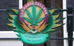 Centro de Informação do Cannabis College