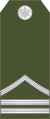 Stariji vodnik (Montenegrin Ground Army)[23]