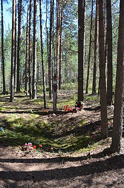 Столб-голубец. Цветами обозначены границы расстрельной ямы