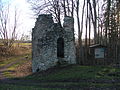 Ruine Kalden