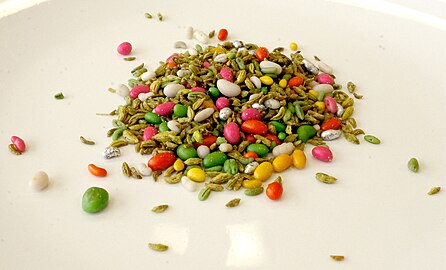 Sugar-coated and uncoated fennel fruits used as a breath freshener