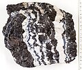 Sphalerite (Banderz), Grube Hilfe Gottes, Bad Grund, Harz, Germany