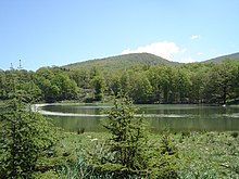 Lac bordé de forêts.