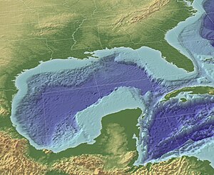 The Gulf of Mexico