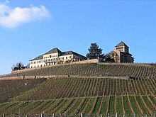 Johannisberg Rheingau.jpg