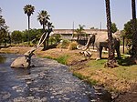 La Brea Tar Pits