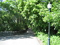 Pathway connecting Concession Street to the Jolley Cut