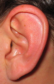 Ear.jpg