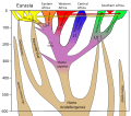 Extension to 600 kya (Homo sapiens/heidelbergensis)