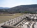 Vestigis de colonas dins un palais olmèc.