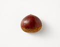 Chestnut fruit