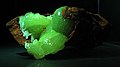 Adamite