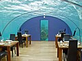 Image 33Ithaa, the first undersea restaurant at the Conrad Maldives Rangali Island resort (from Hotel)