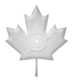 The Silver Maple Leaf