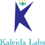 Thumbnail for Kaleida Labs