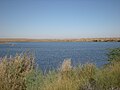 Bakri Waro Lake, Khairpur