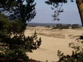 Kootwijkerzand, Veluwe