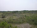 Dunes de Wainwright