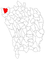 Location in Vaslui County