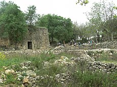 The mosque for Shaykh Ahmad al-Umari