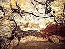 Lascaux, Aurochs (Bos primigenius primigenius)