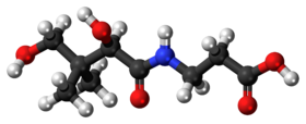 Model kyseliny (R)-pantothenové