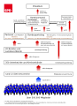 2007年 組織図