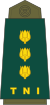 Colonel