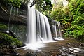 Russel Falls