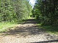 The track around the start/finish line