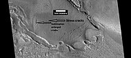 View of stress cracks and larger cracks that have been enlarged by sublimation (ice changing directly into gas). This may be the start of ribbed terrain.