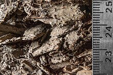 A macro photo of Colluvial parent material. The stones are greyish brown with angular and sharp edges and are not sorted.