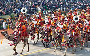 সাধারণতন্ত্র দিবসে বিএসএফের কুচকাওয়াজ।