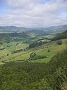 Forêts de conifères et de feuillus, pâturages, dans le Cantal.