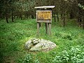 Schälchenstein südlich des Löcknitzer Sees