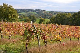 منظر لمزرعة كروم Verneuil-sur-Vienne.