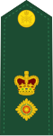 Dress uniform tunic