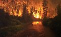 Image 23Elk Bath, an award-winning photograph of elk avoiding a wildfire in Montana (from Wildfire)